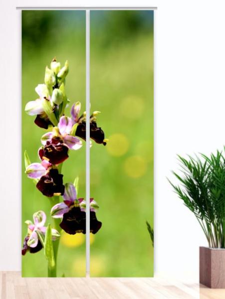 Orchideenzauber, Schiebegardine, Flächenvorhang Set, blickdicht,